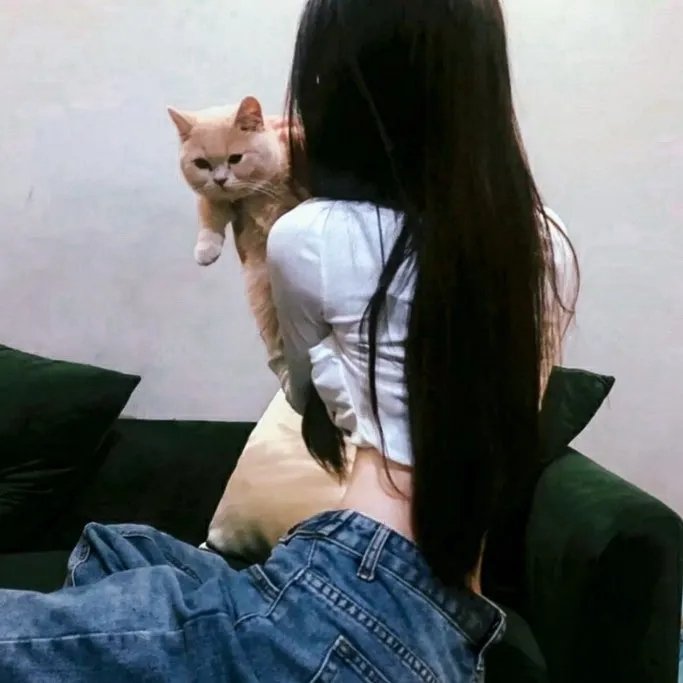 人咬狗 海报